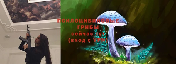 спайс Алексеевка