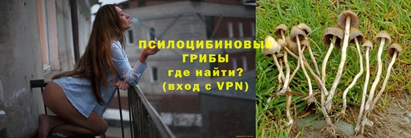 Альфа ПВП Алзамай