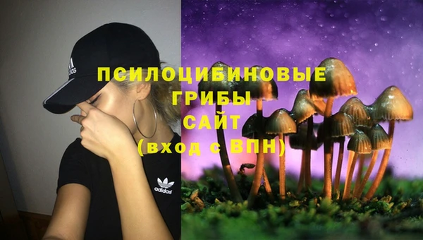 Альфа ПВП Алзамай